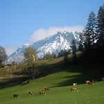 度假居 Laengauer Alm - Haus Daniel