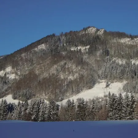 度假居 Laengauer Alm - Haus Daniel *