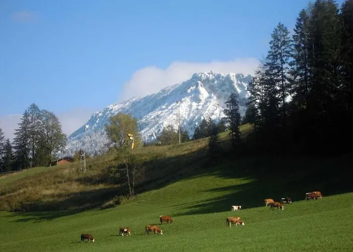 Feriehus Laengauer Alm - Haus Daniel